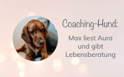 Coaching-Hund: Max liest Aura und gibt Lebensberatung